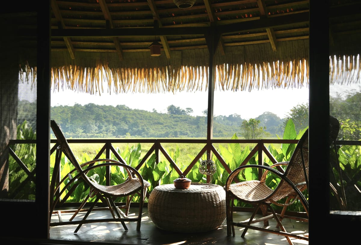 Picture of the author