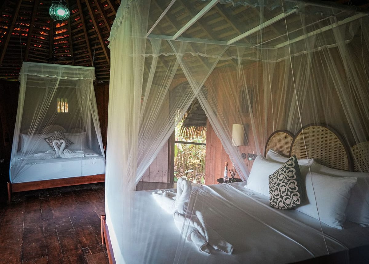 Interior of the Green Lodge with two queen-size beds.